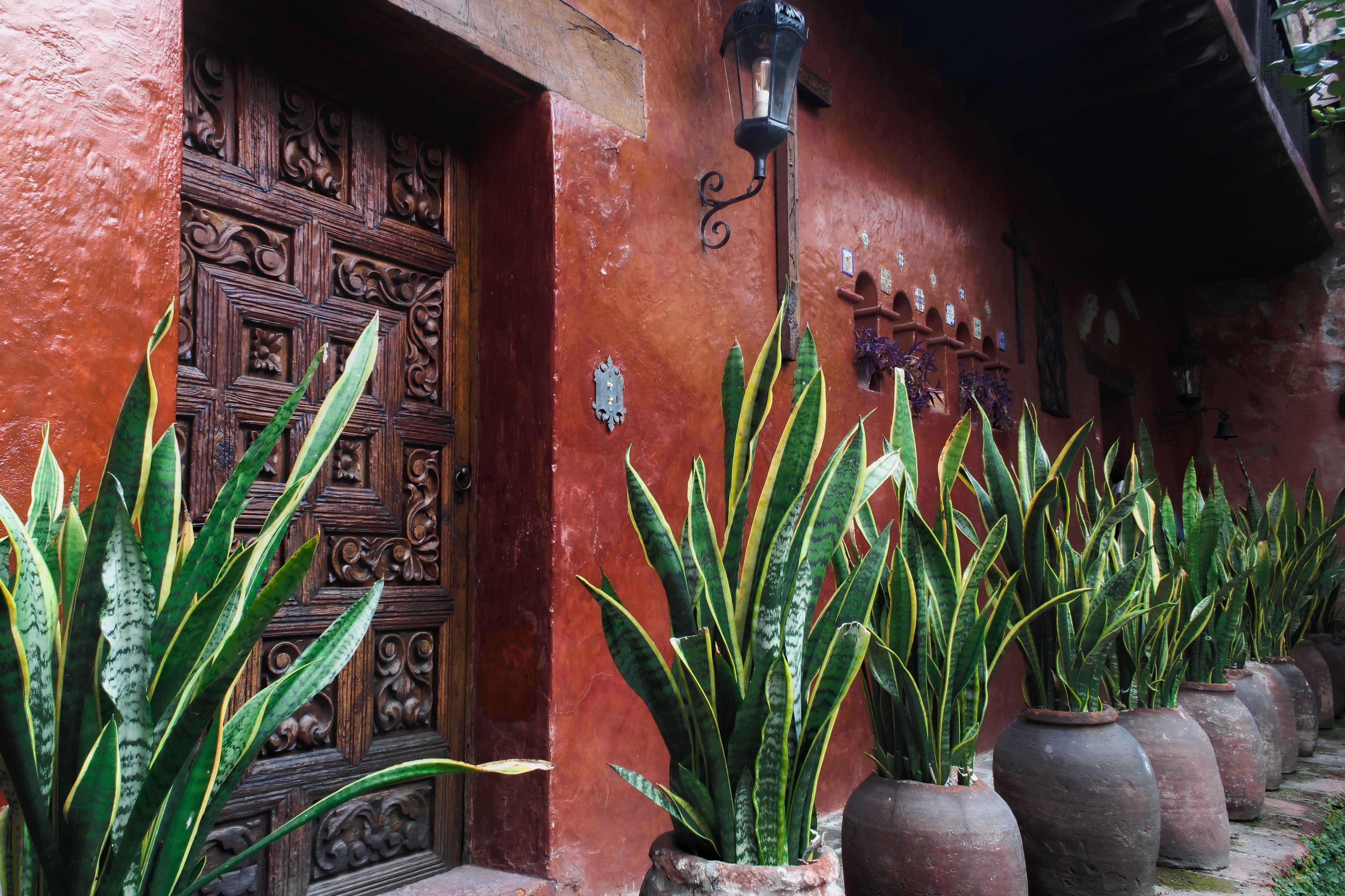 Mexico House