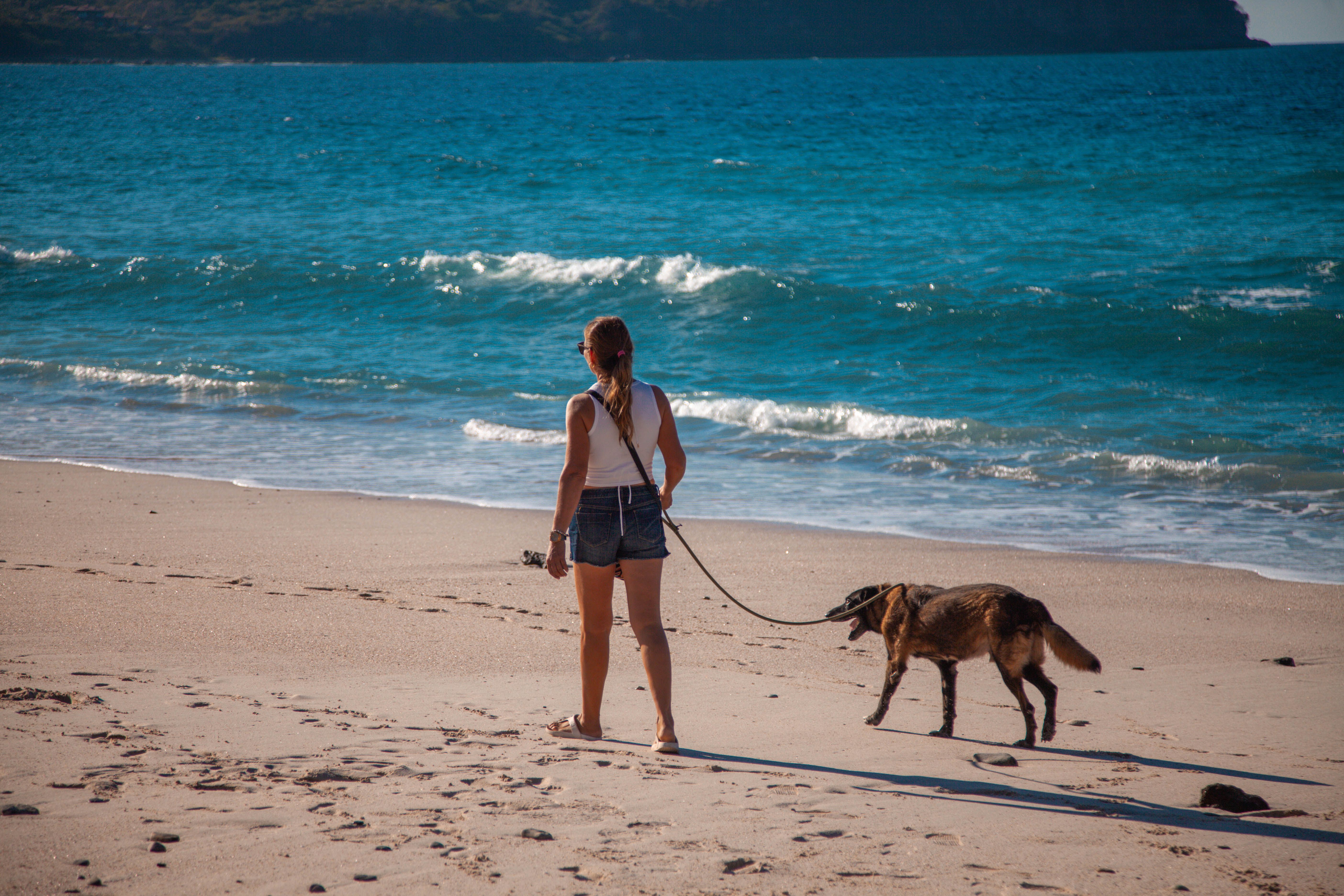 Walking a Dog