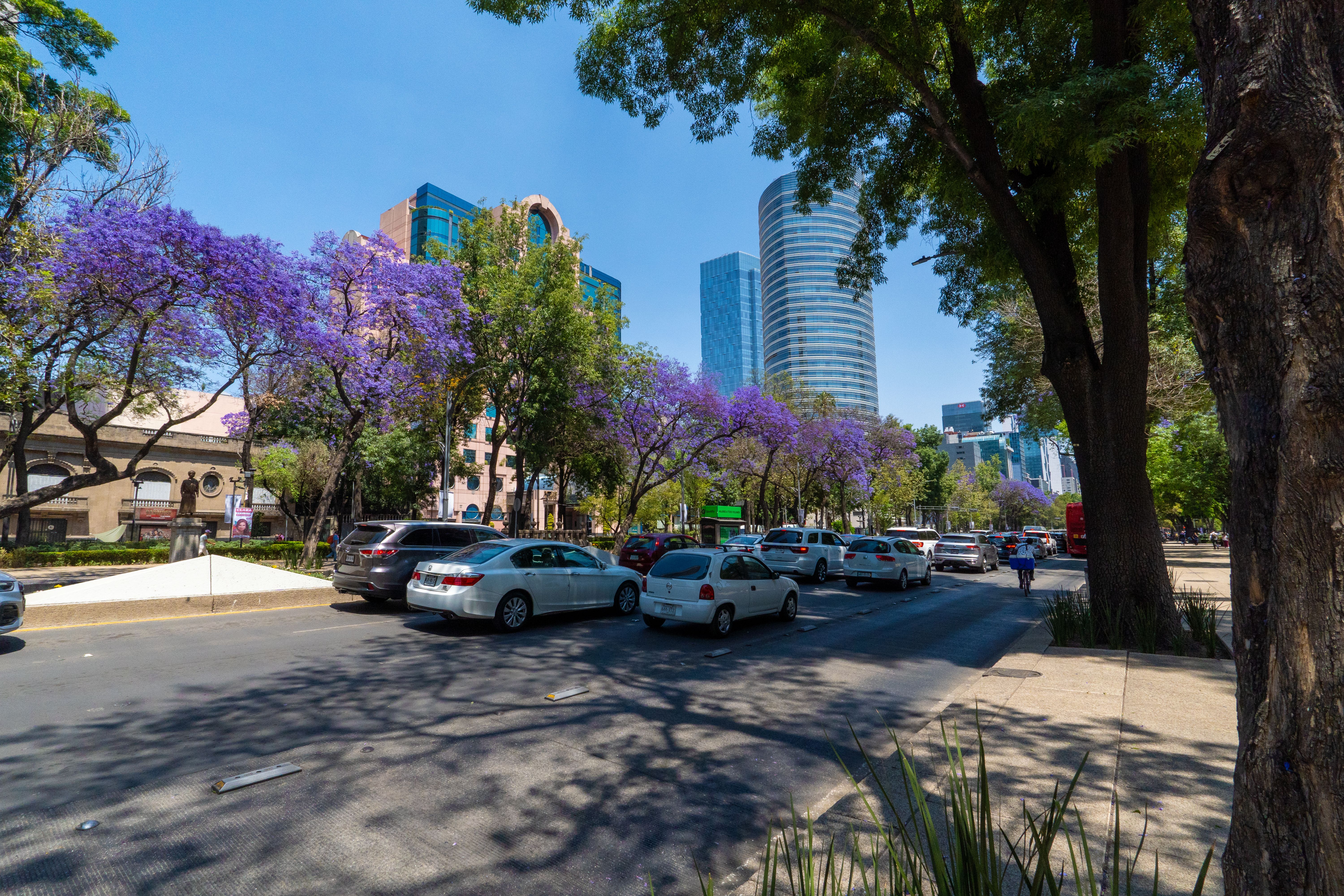 Mexico City Road